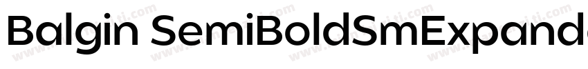 Balgin SemiBoldSmExpanded Regular字体转换